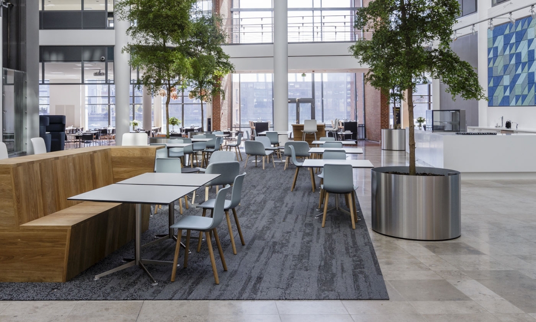 OB体育APP官网下载 - 坐具|餐椅|办公家具|中国有限公司家具|哈尔餐椅